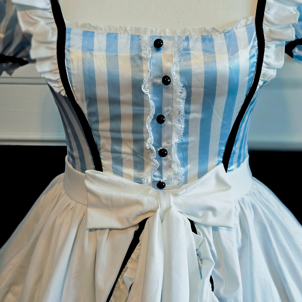 NWT Wonderland Girl Trickz N' Treatz X DOLLS KILL - Picture 3 of 8
